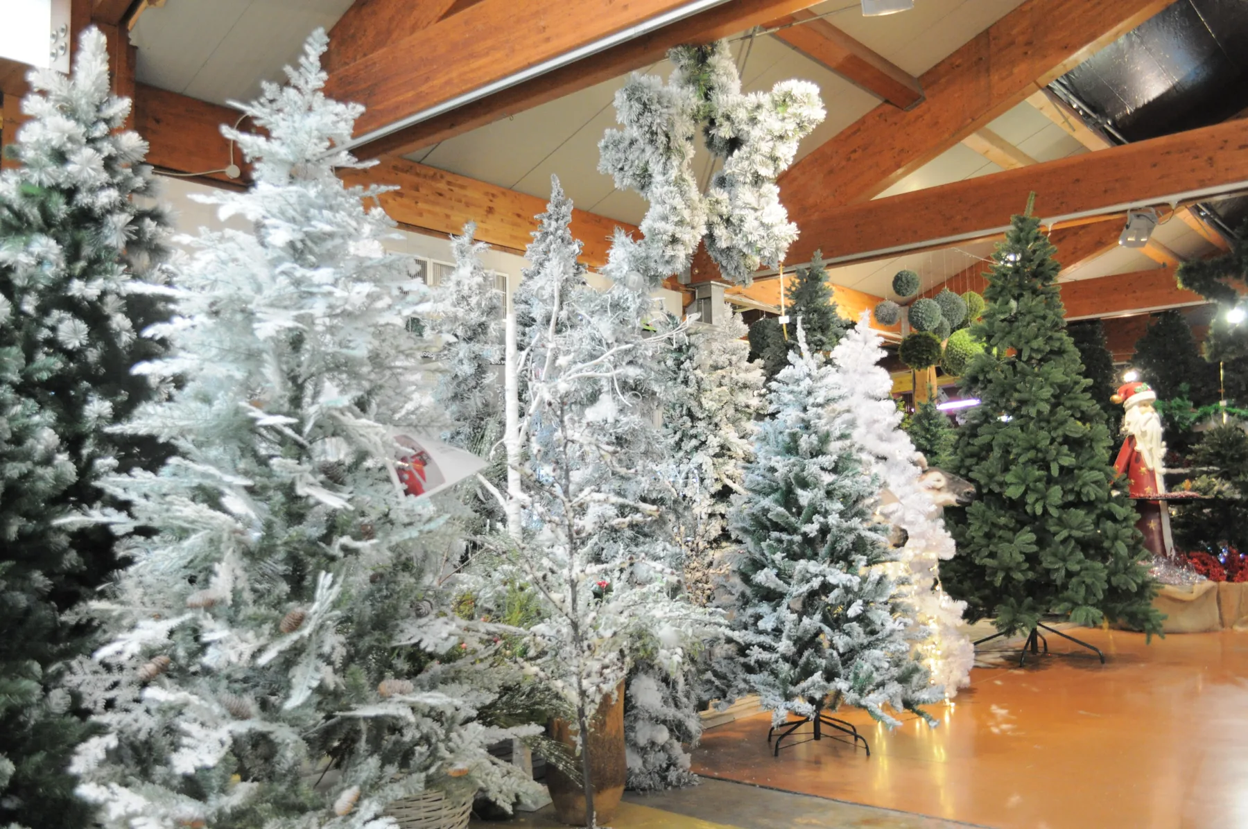 Abeti sintetici innevati, bianchi e verdi, di altezze diverse sotto le travi di legno del garden
