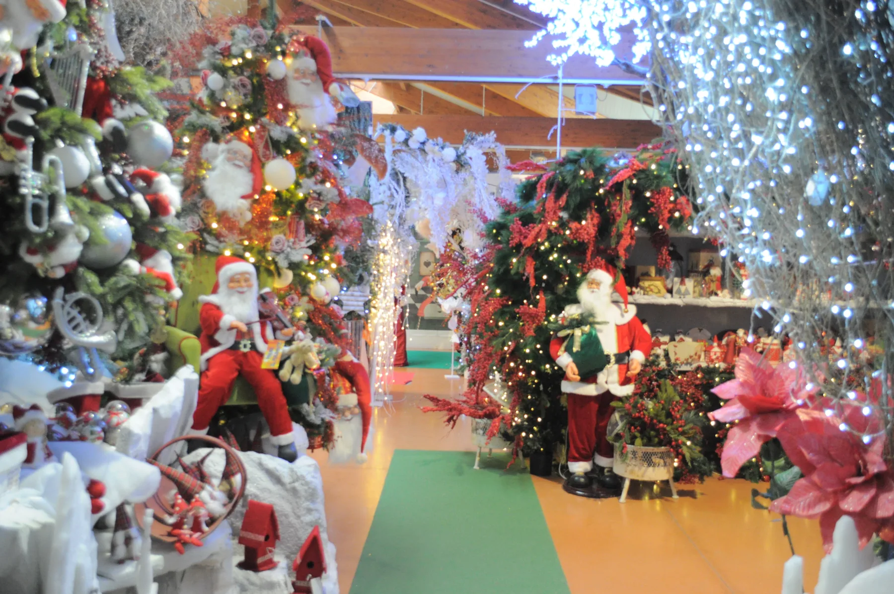Reparto con alberi addobbati, pupazzi di Babbo Natale e stelle di Natale su un tappeto verde