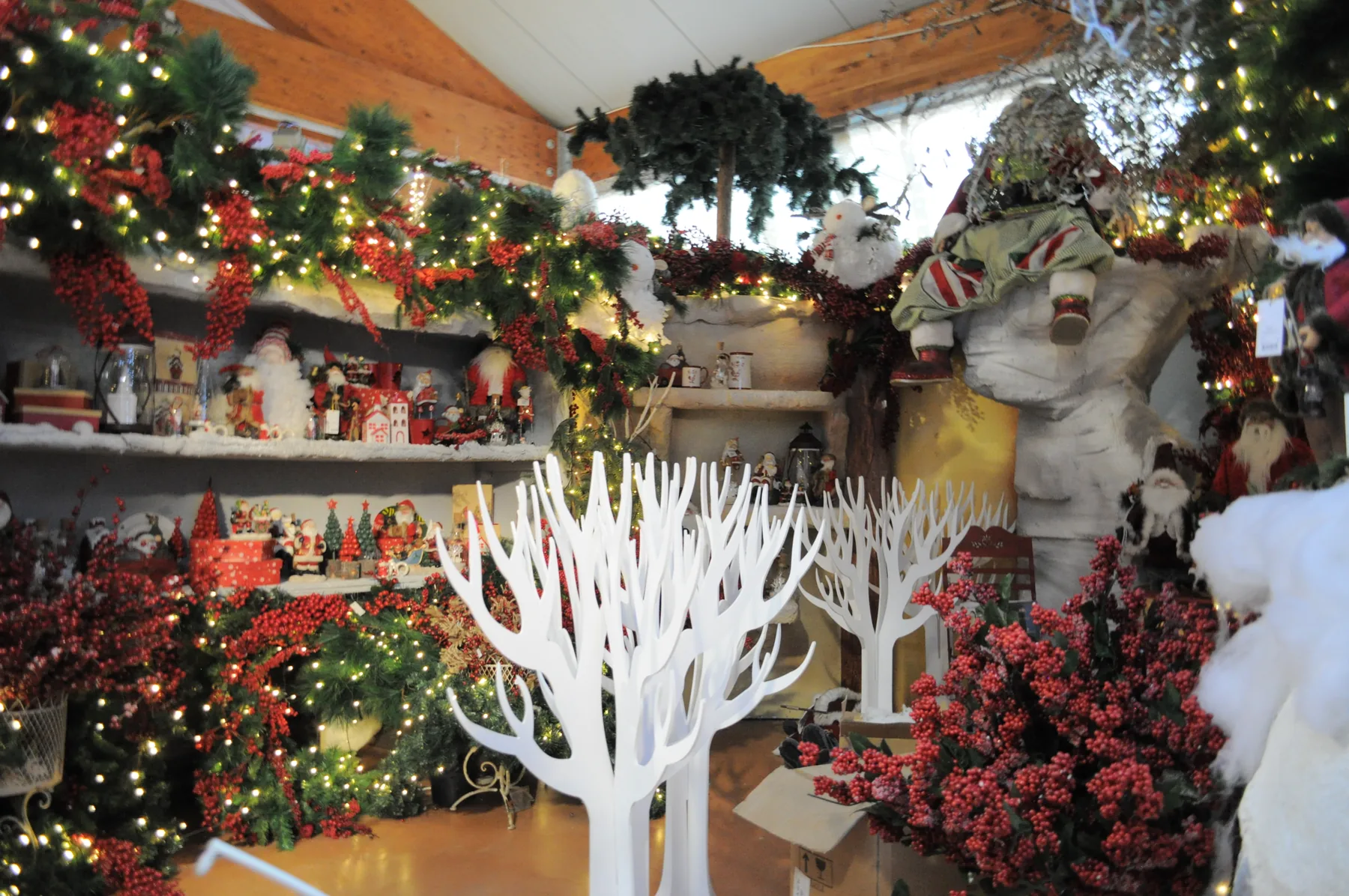 Reparto rosso con alberi bianchi decorativi, bacche rosse e ghirlande con le lucine