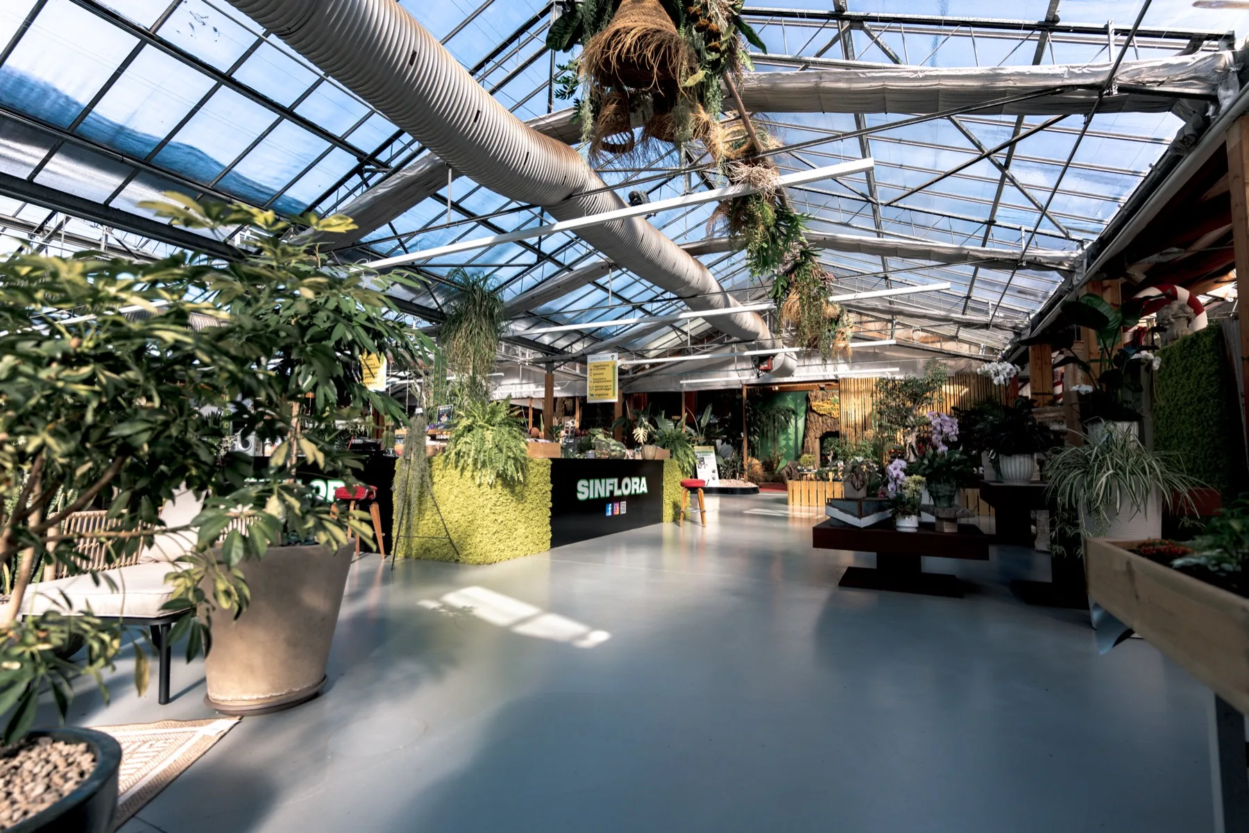 Il banco d'ingresso del garden center con la scritta Sinflora su una parete di muschio verde, sotto la copertura vetrata della serra