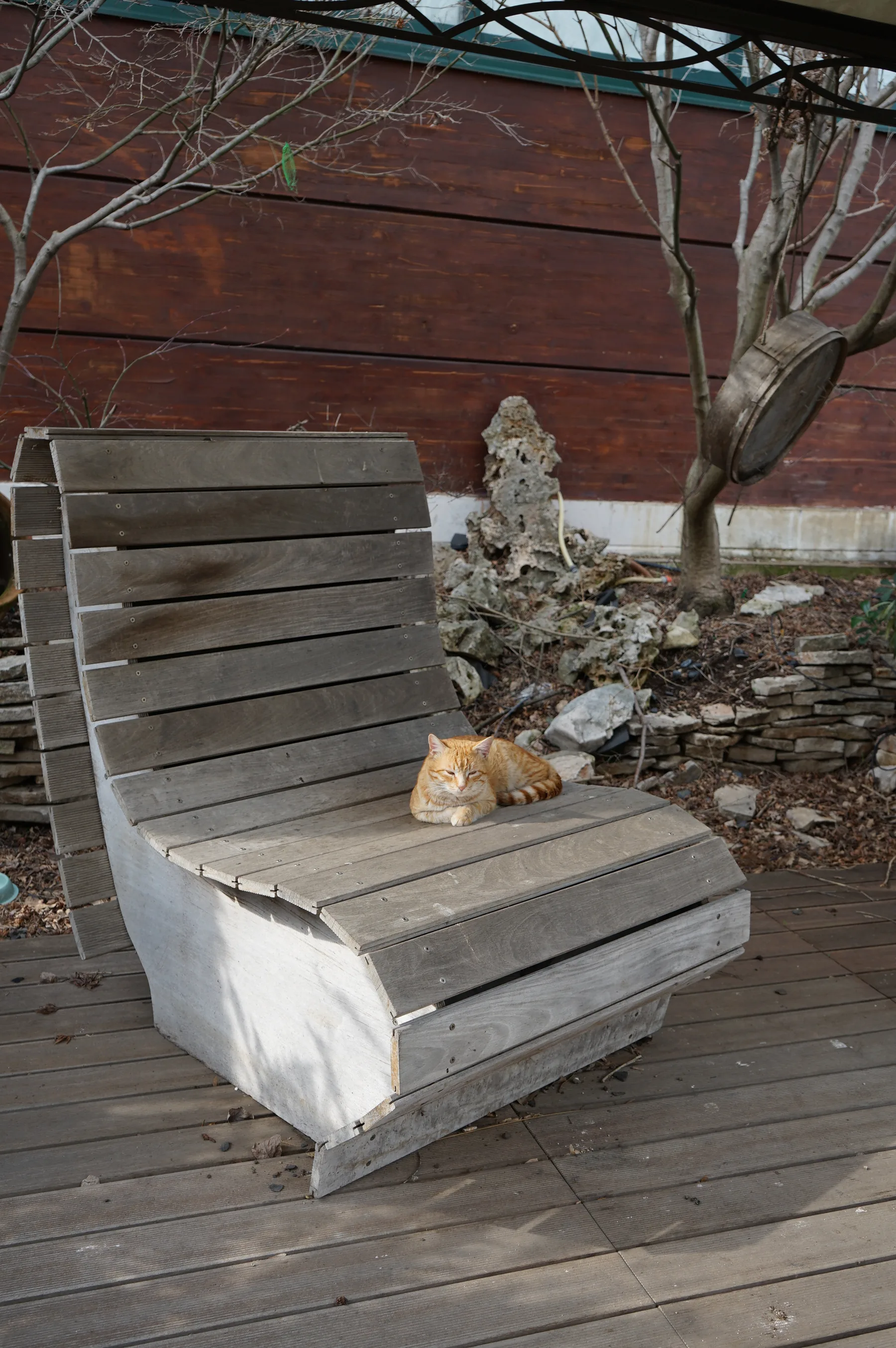 Una sdraio di legno dalla seduta curva sul pavimento di assi, con un gatto rosso che dorme sopra