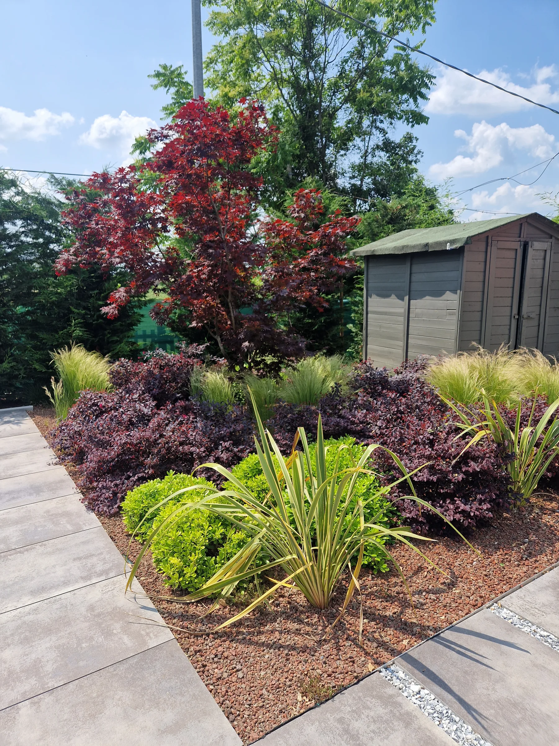 Aiuola su lapillo con un acero rosso, berberis scuri e phormium, accanto a un vialetto di lastre