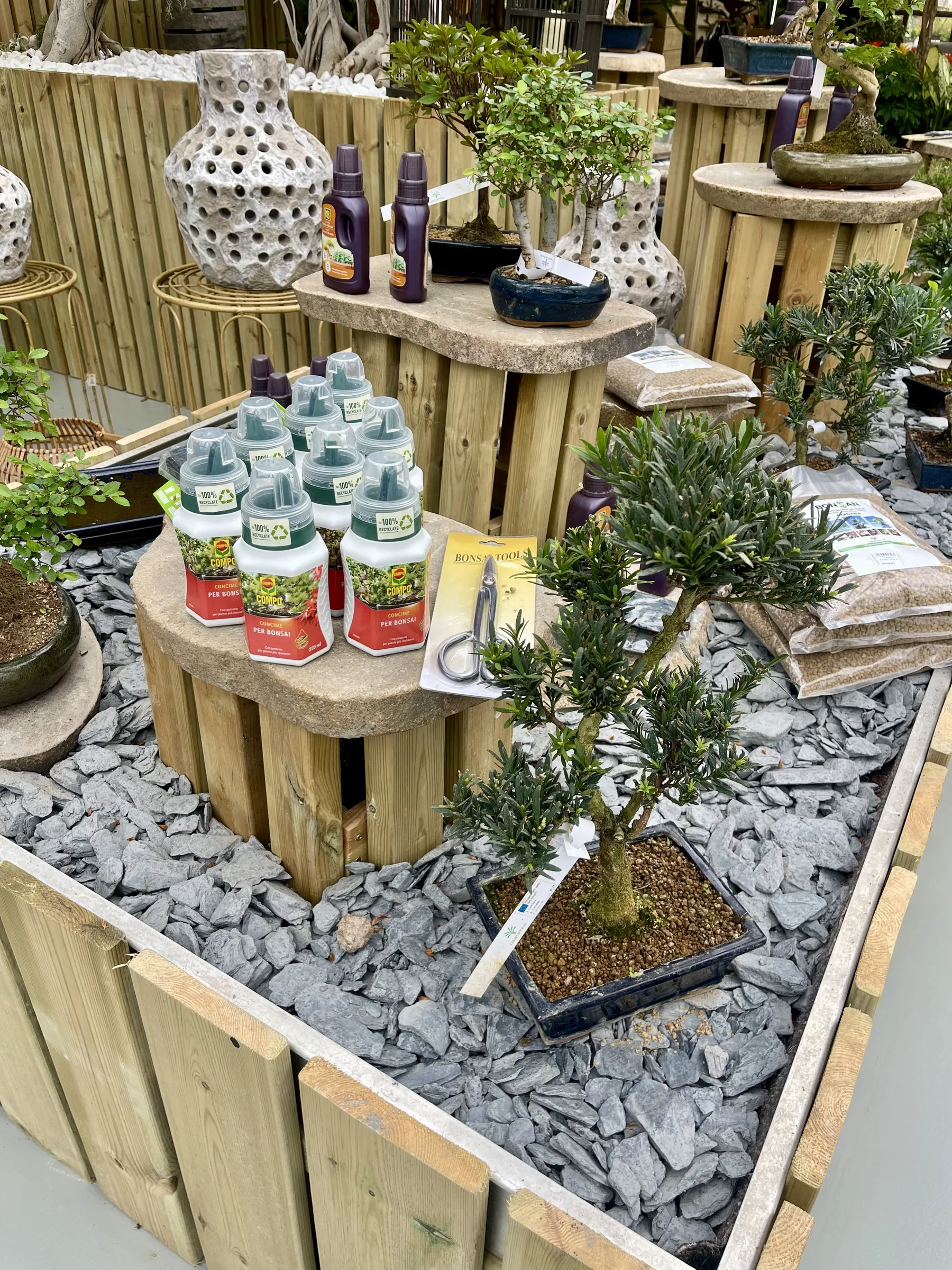 Bonsai in vaso su un letto di ardesia, fra bancali di legno, concimi e vasi traforati