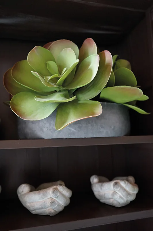 Succulenta artificiale in un vaso di cemento, sopra due vasetti a forma di mani