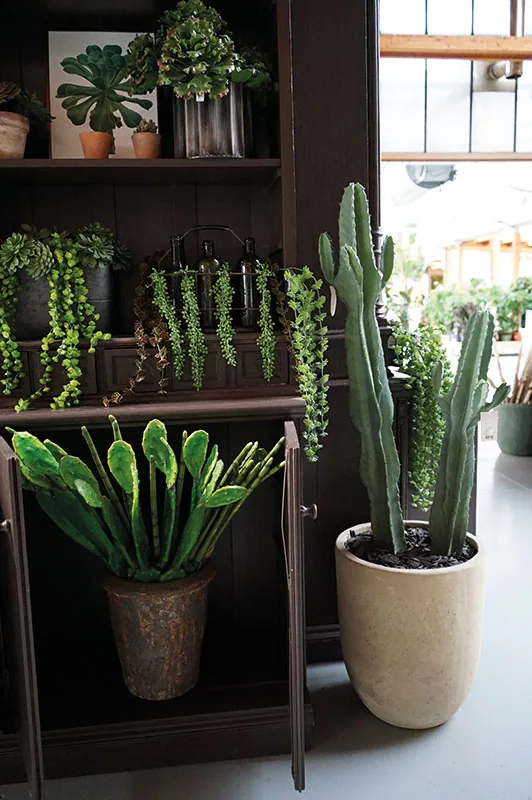 Mobile scuro con piante artificiali ricadenti, succulente e un cactus colonnare in vaso