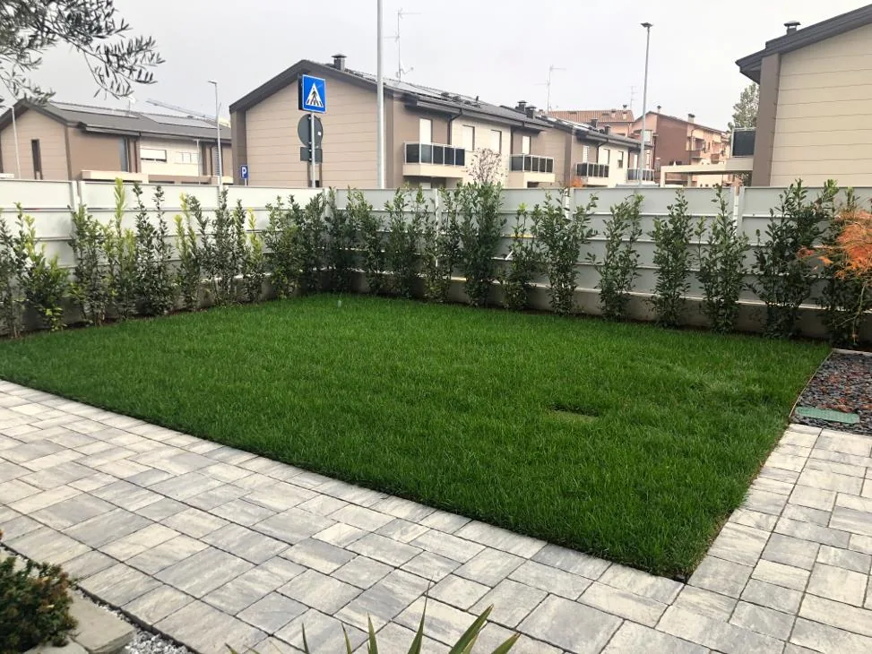Prato appena posato in un piccolo giardino recintato, contornato da una pavimentazione in autobloccanti grigi e da una siepe giovane