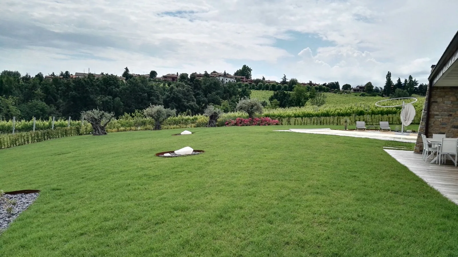 Grande prato in collina con un olivo e un masso bianco al centro, un filare di vite e una pedana in legno con sedie a destra