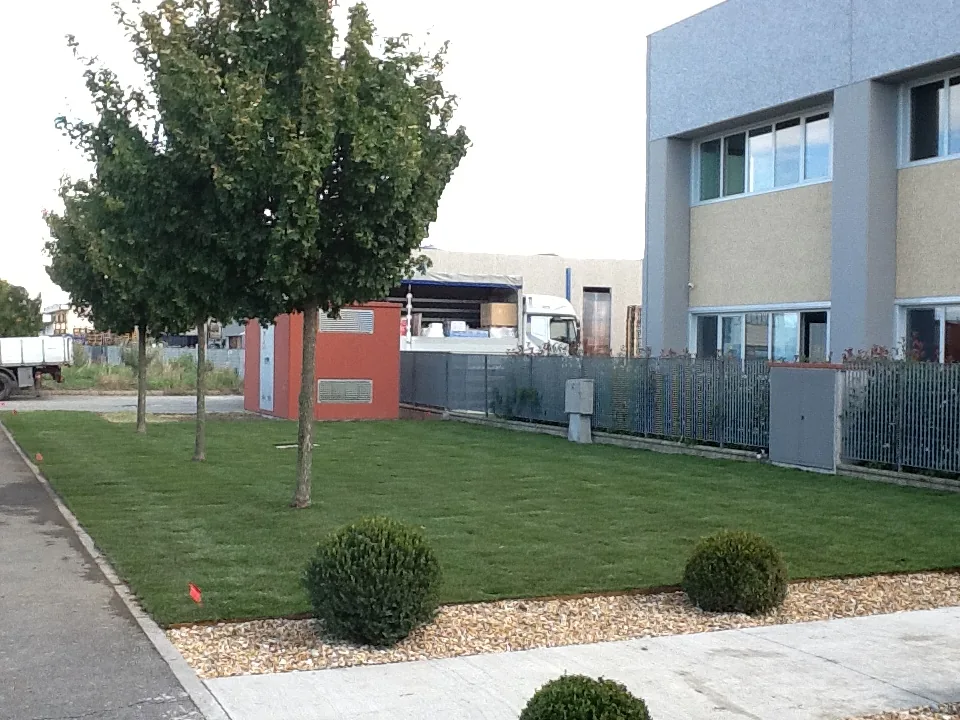 Prato davanti a un edificio aziendale, con alberi giovani, sfere di bosso su ghiaia e una recinzione metallica
