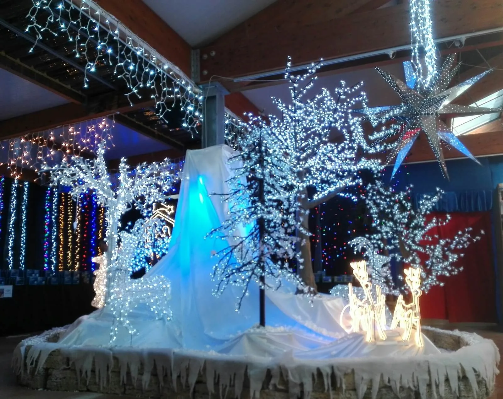 Alberi di luci bianche su una base innevata, con renne luminose e una grande stella appesa
