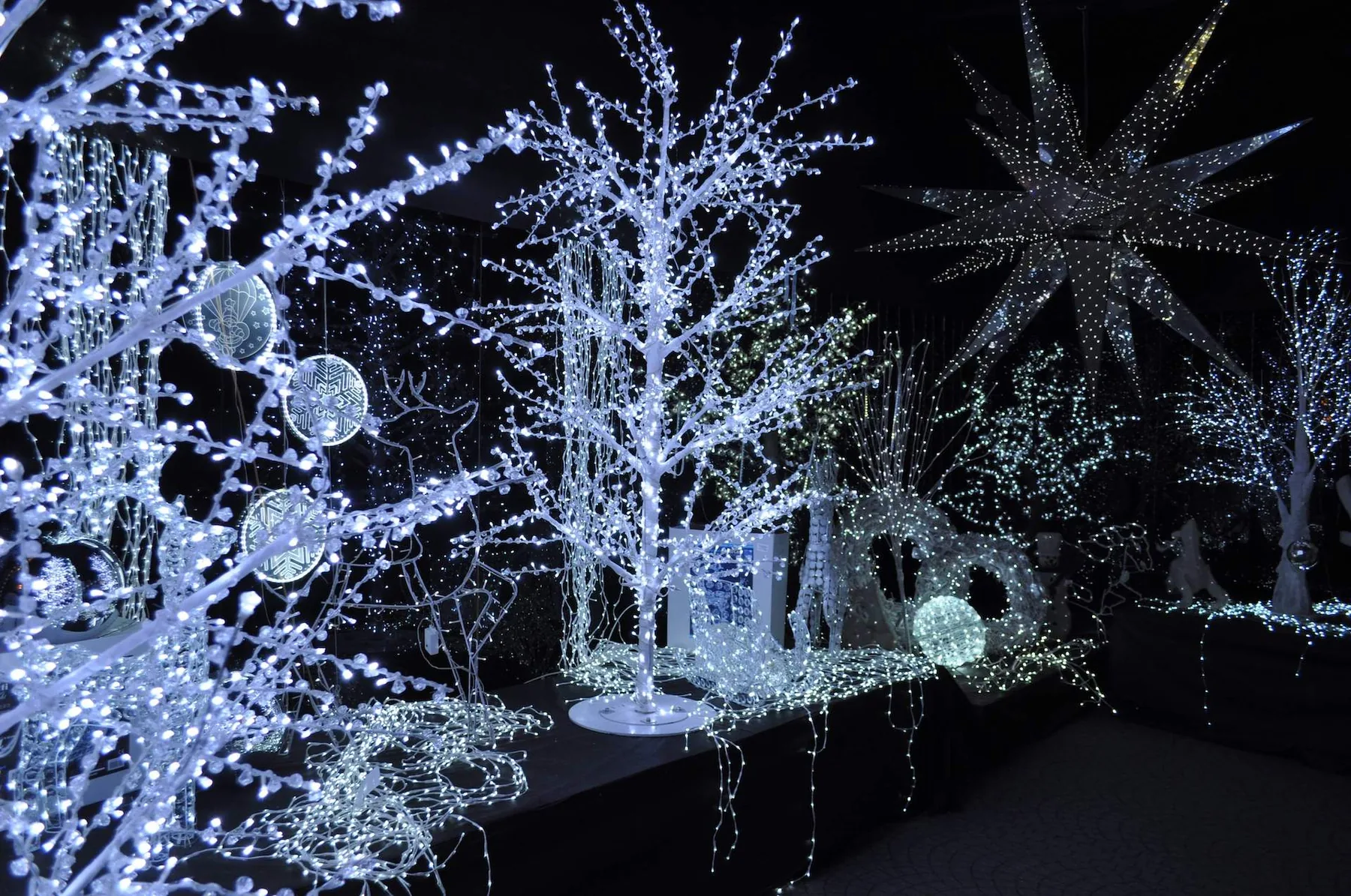 Alberi di luci bianche e sfere luminose davanti a una grande stella appesa, nel buio