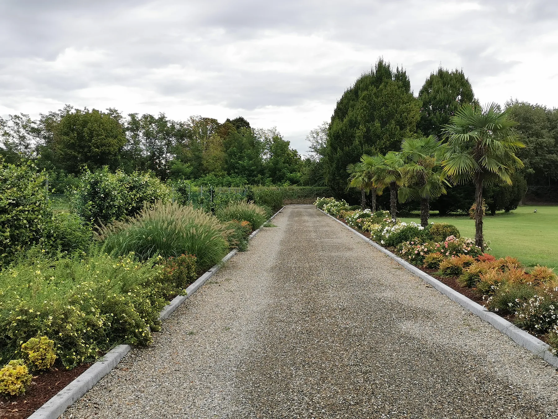 Viale lungo in ghiaia chiara bordato da cordoli, con bordure di arbusti fioriti e palme ai lati