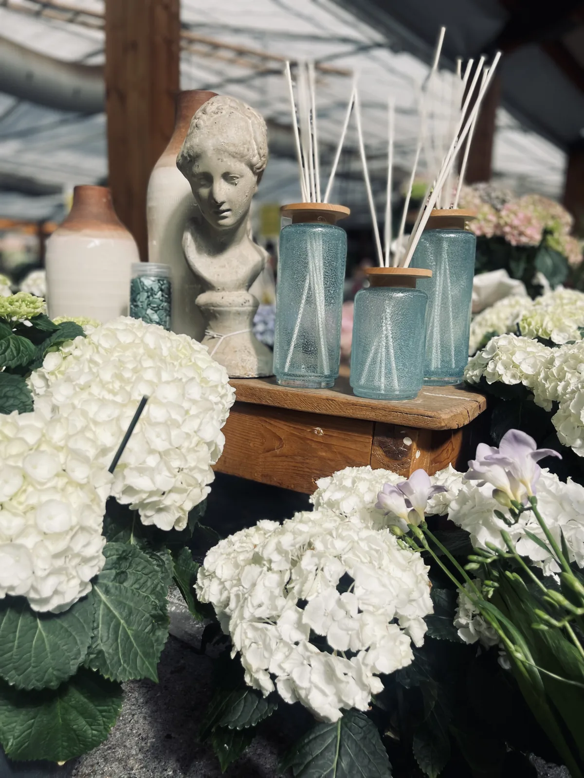 Diffusori a bastoncini in flaconi di vetro azzurro su un vassoio di legno, con un busto in ceramica bianca, fra ortensie bianche