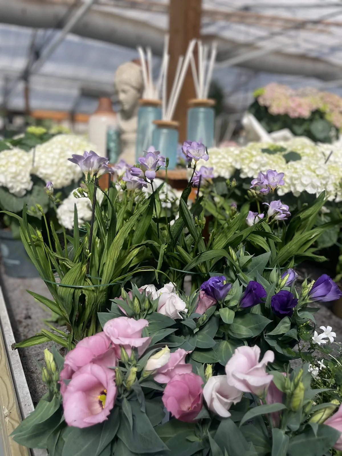 Lisianthus rosa e viola e fiori bianchi in primo piano, con i diffusori a bastoncini azzurri e un busto bianco sullo sfondo