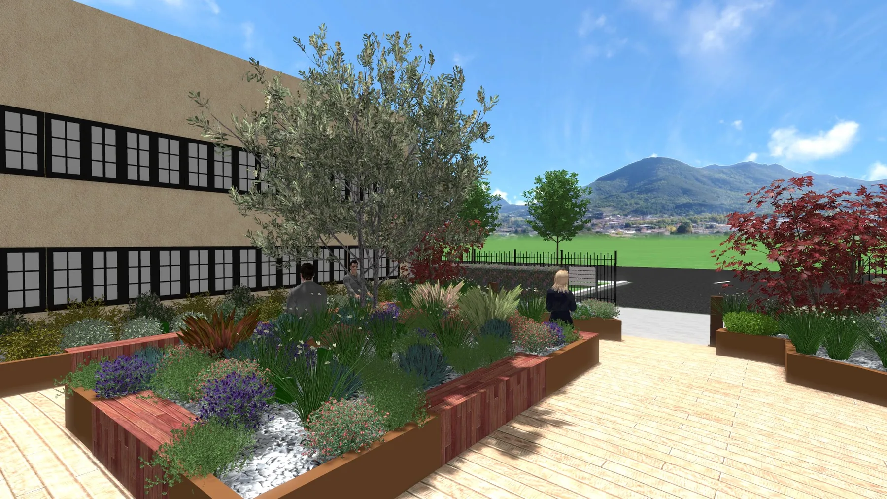 Vista 3D di progetto dello stesso cortile, con aiuole in corten di graminacee e lavanda, un olivo e le colline sullo sfondo