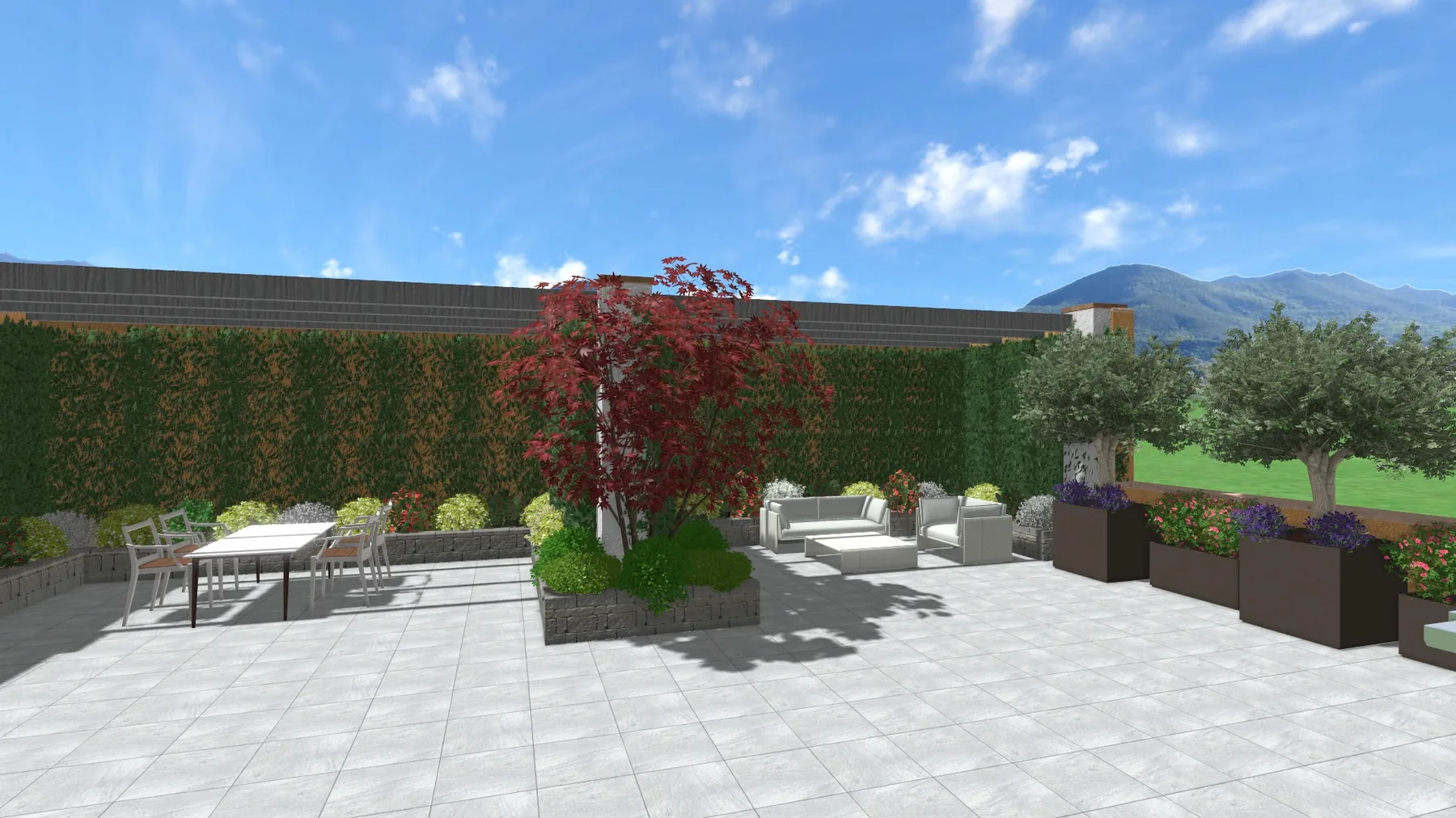 Vista 3D di progetto di un cortile in lastre chiare con un acero rosso al centro, fioriere e una parete verde sul fondo