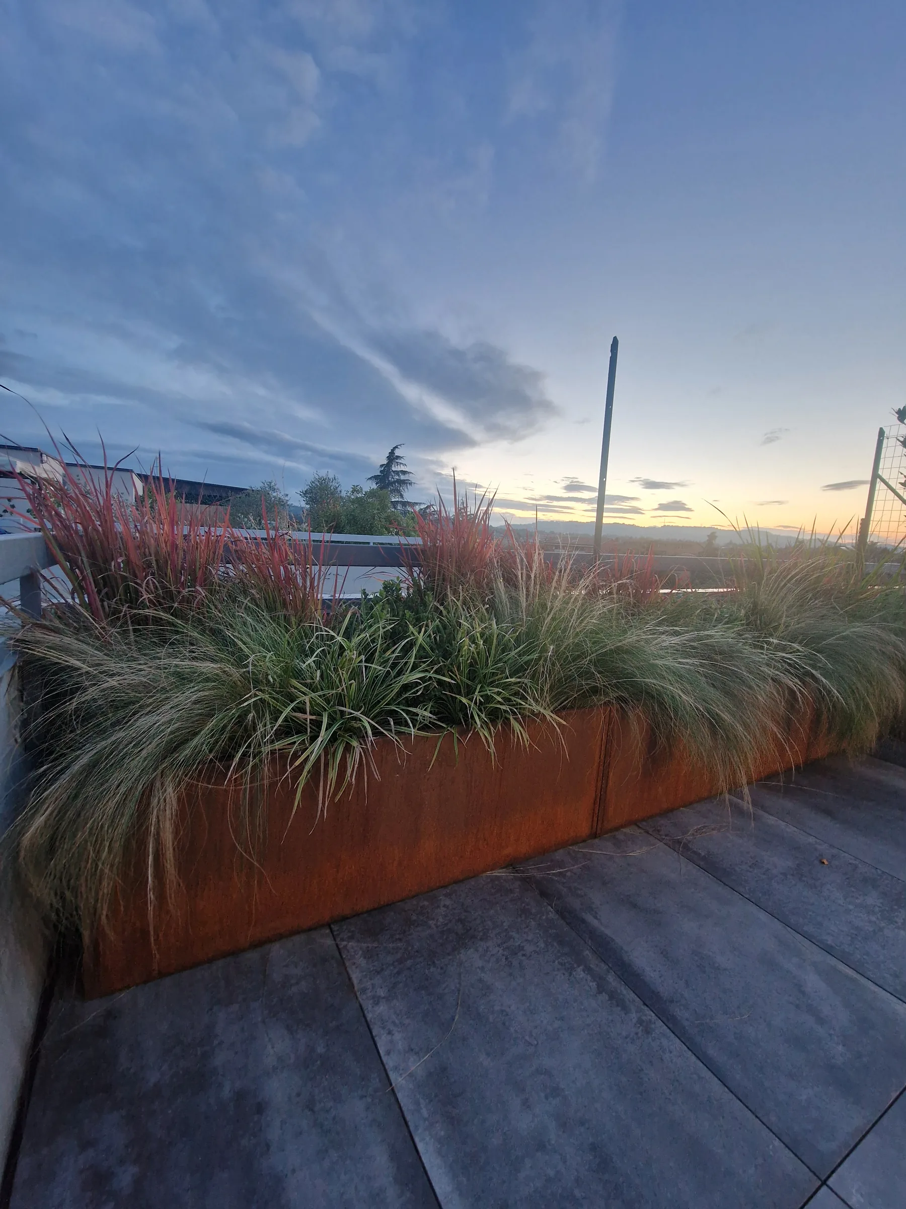 Fioriera lunga in corten piena di graminacee rosse e verdi su un terrazzo in gres scuro, al tramonto