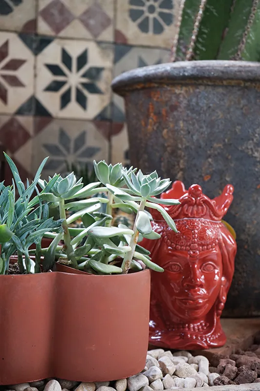 Succulente in un vaso di terracotta a due bocche accanto a un vaso rosso a forma di testa