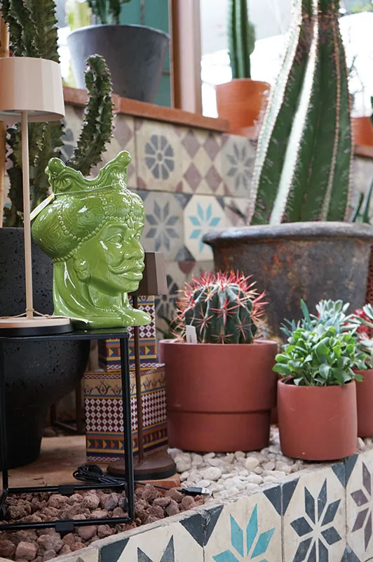 Vasi di terracotta con cactus e un vaso verde a testa di donna su un banco con cementine decorate
