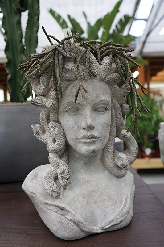 Busto in cemento a forma di Medusa con piante ricadenti al posto dei capelli