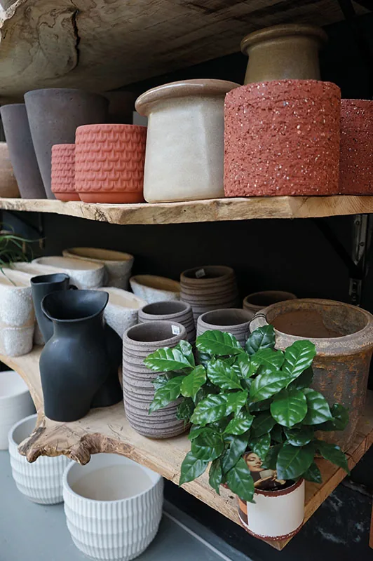 Scaffale di vasi materici in terracotta e cemento, con una pianta verde in primo piano