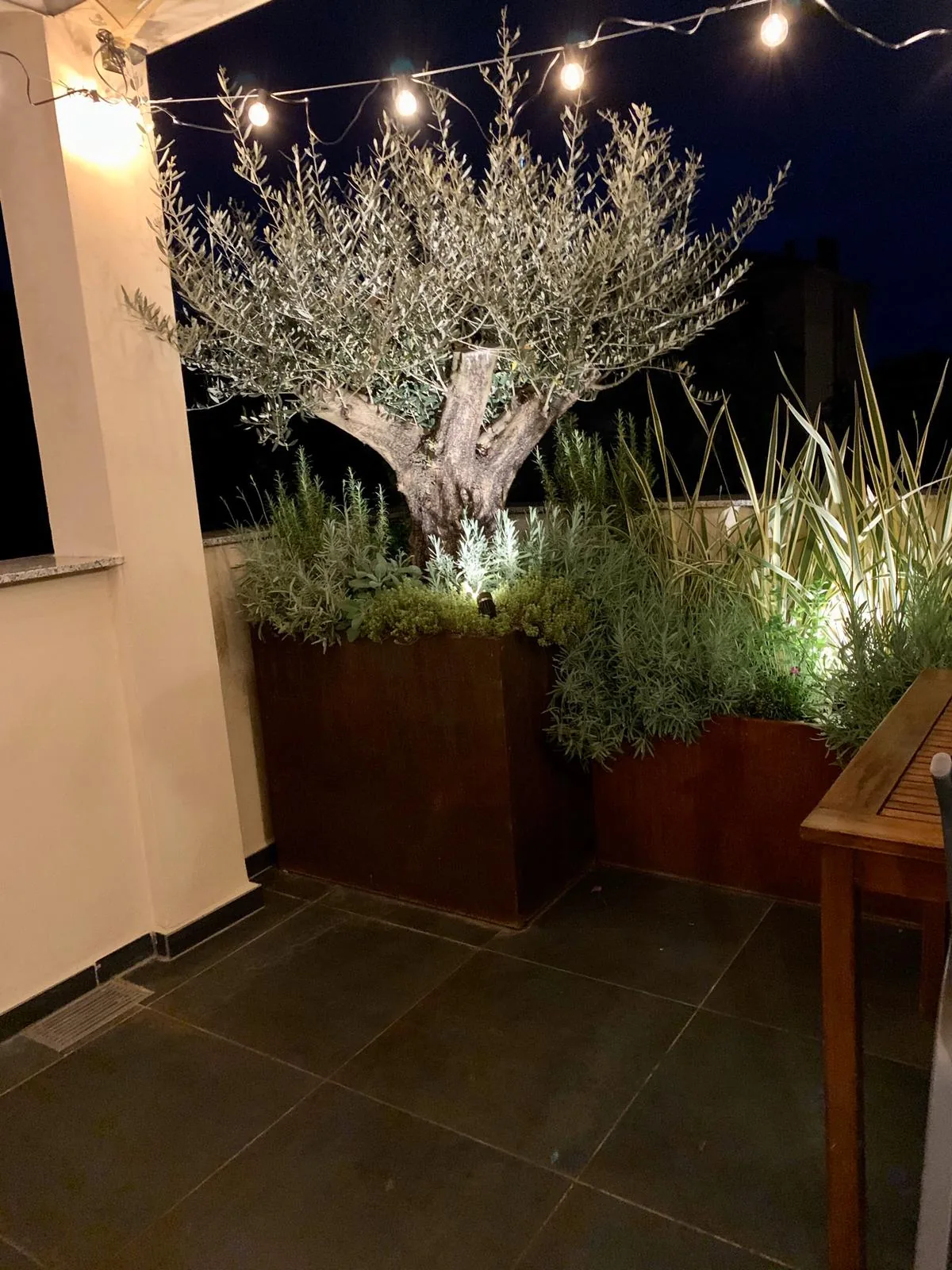 Terrazzo coperto di sera, con una fila di lampadine accese e un olivo fra altre piante nelle fioriere in acciaio corten illuminate dal basso