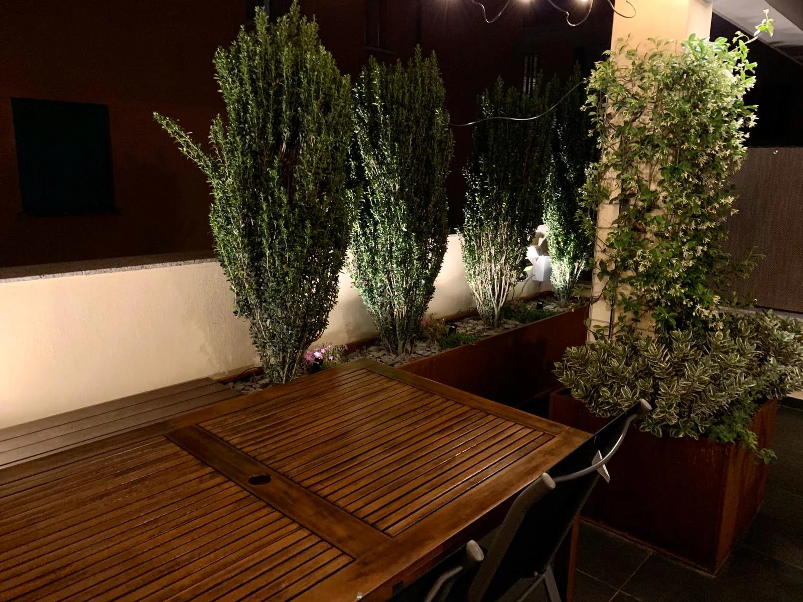 Tavolo in legno su un terrazzo di sera, con cipressi colonnari e un rampicante nelle fioriere in corten