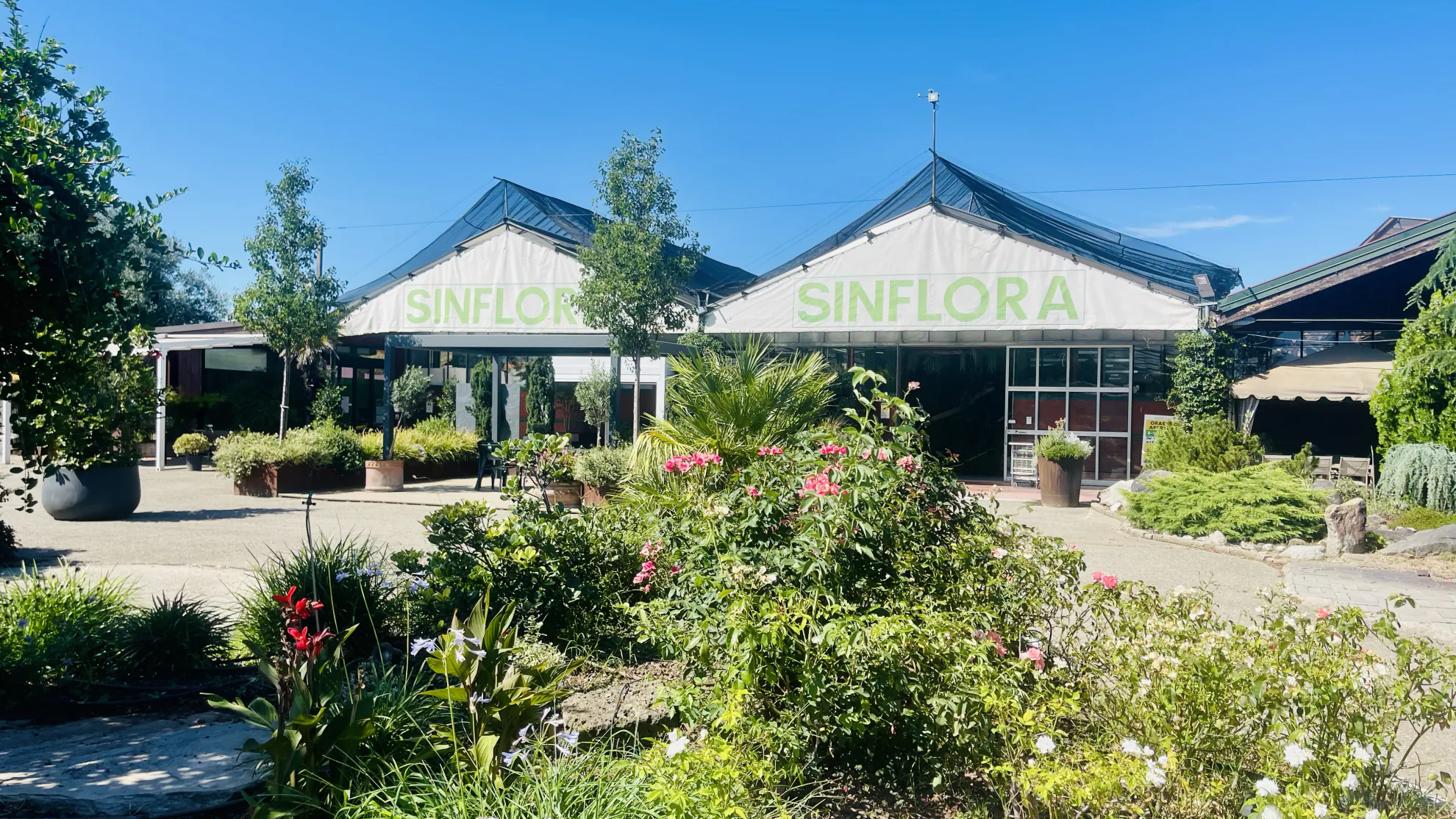 L'esterno del garden center Sinflora, con le due serre e le aiuole fiorite
