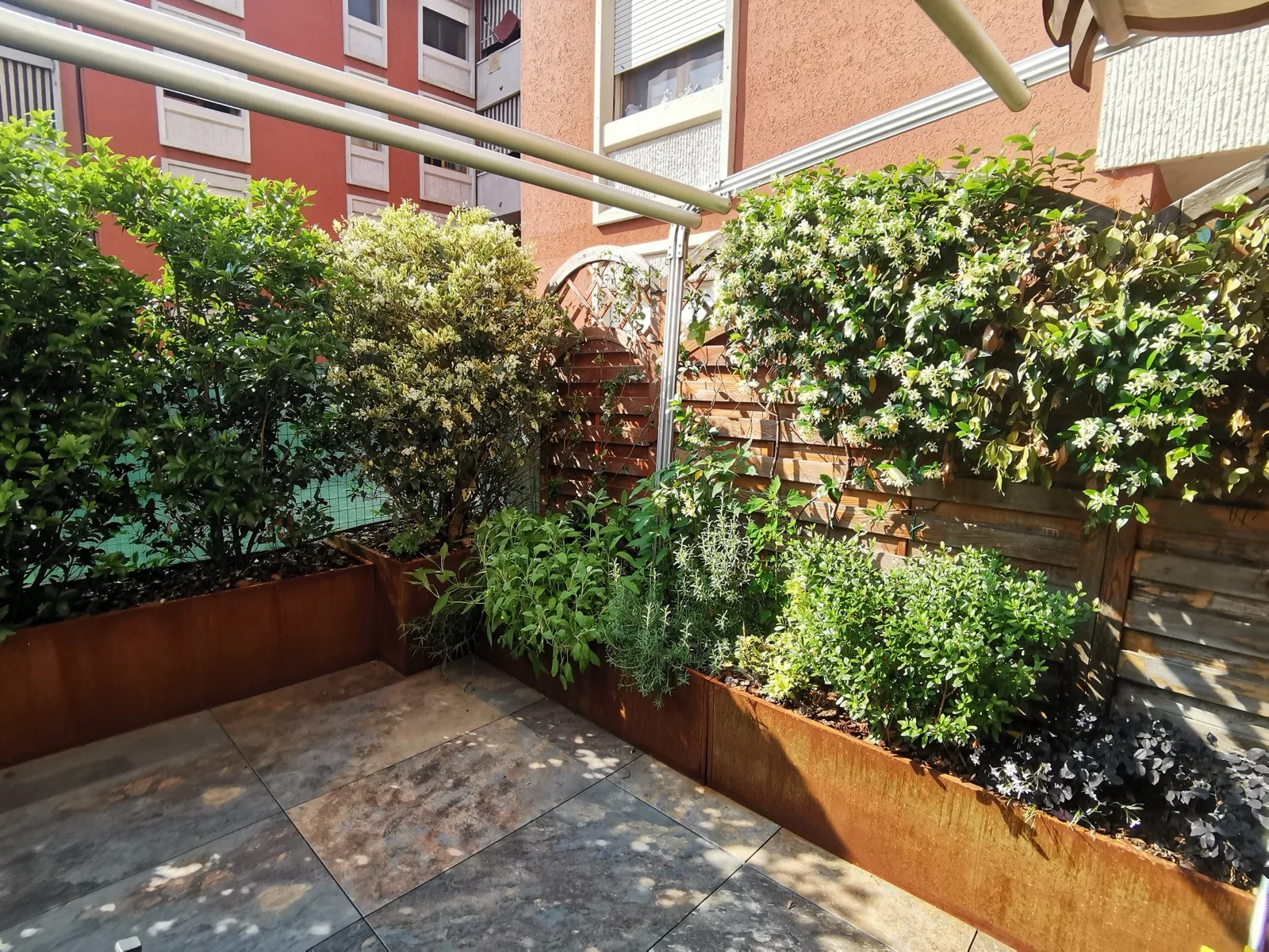 Terrazzo con vasi di piante aromatiche