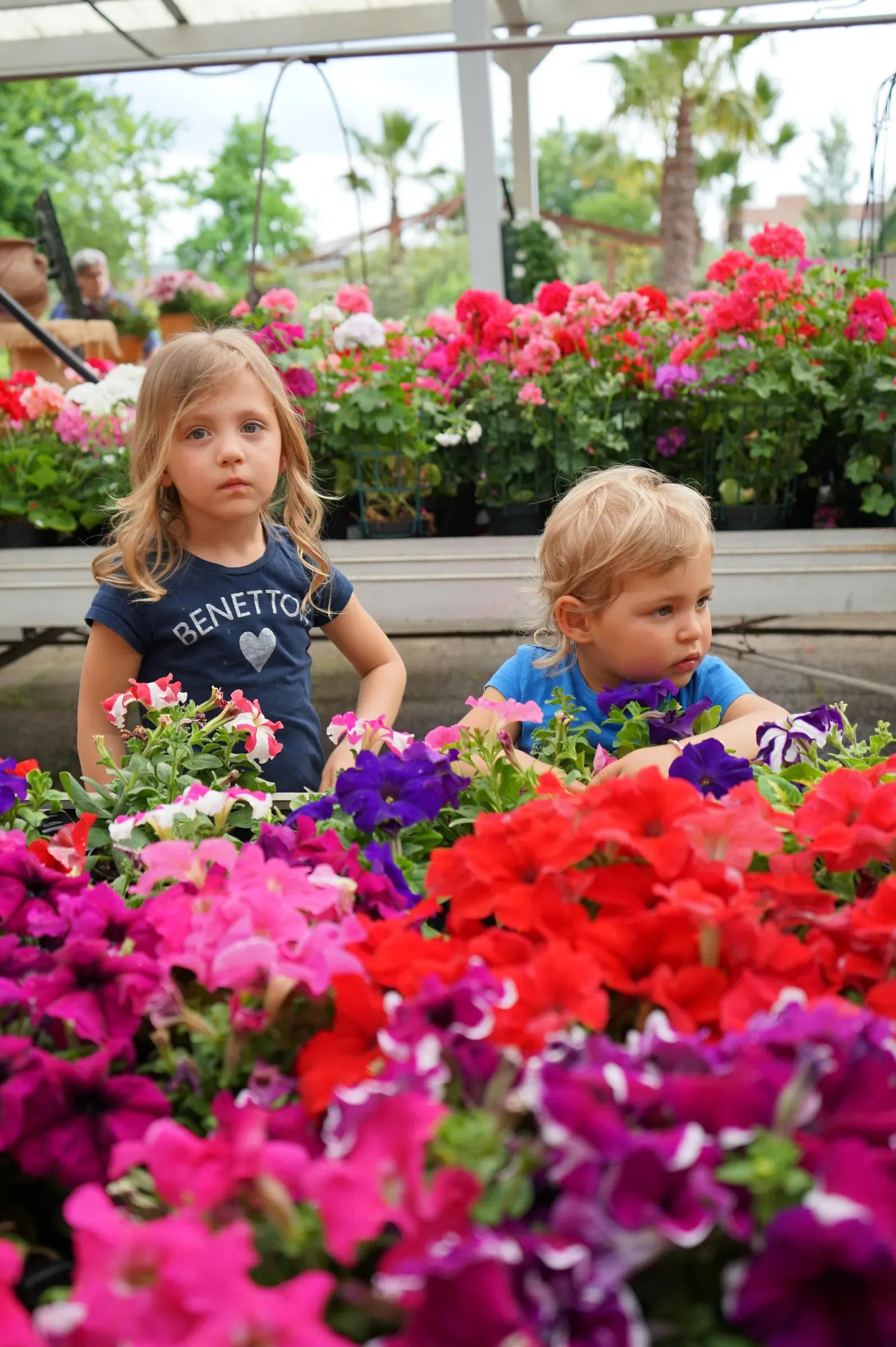 Due bambini biondi dietro un banco di petunie rosse, rosa e viola, sotto la copertura del garden