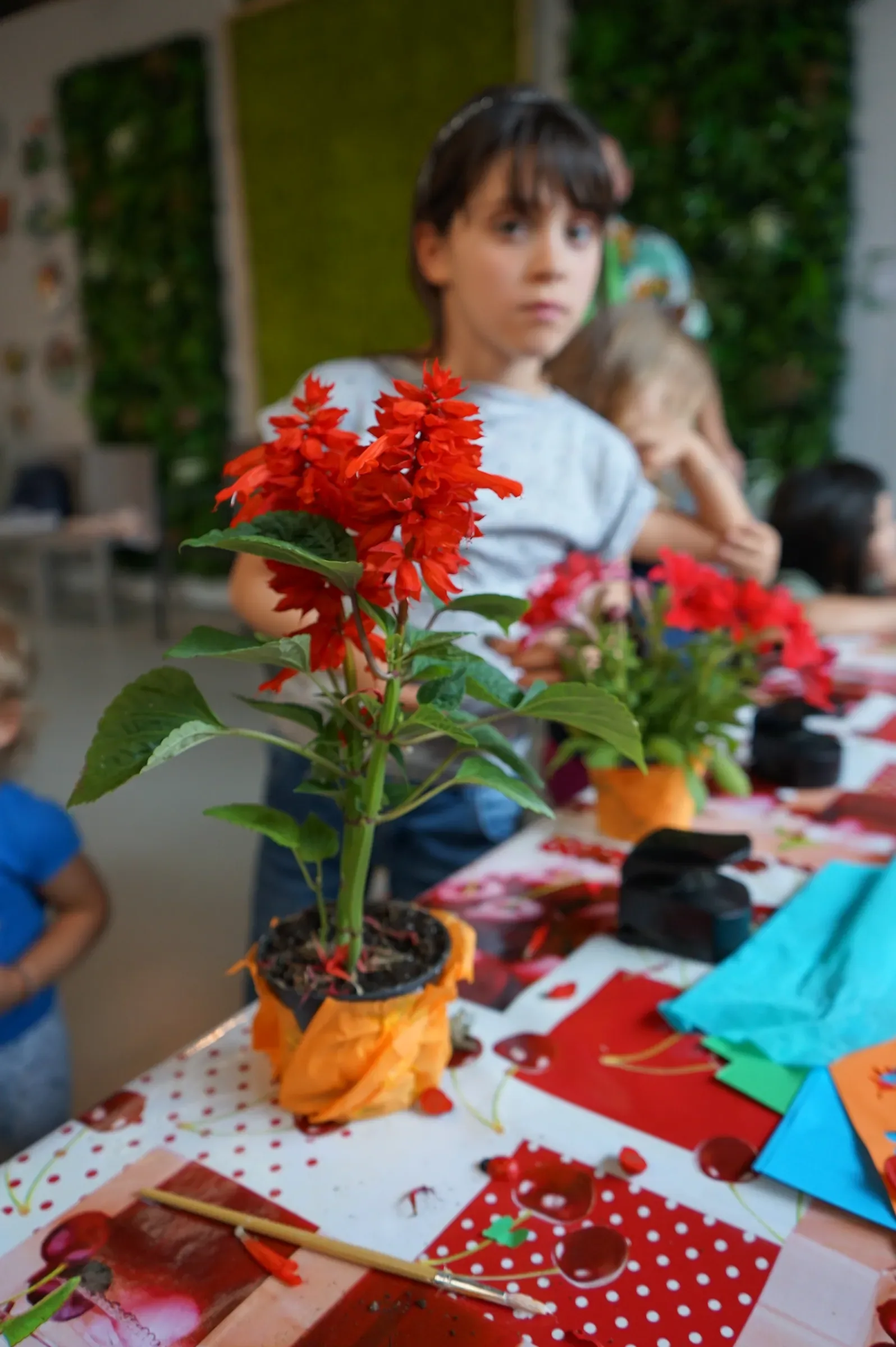 Una salvia rossa in un vasetto avvolto nella carta arancione, sul tavolo del laboratorio, con un bambino sfocato dietro