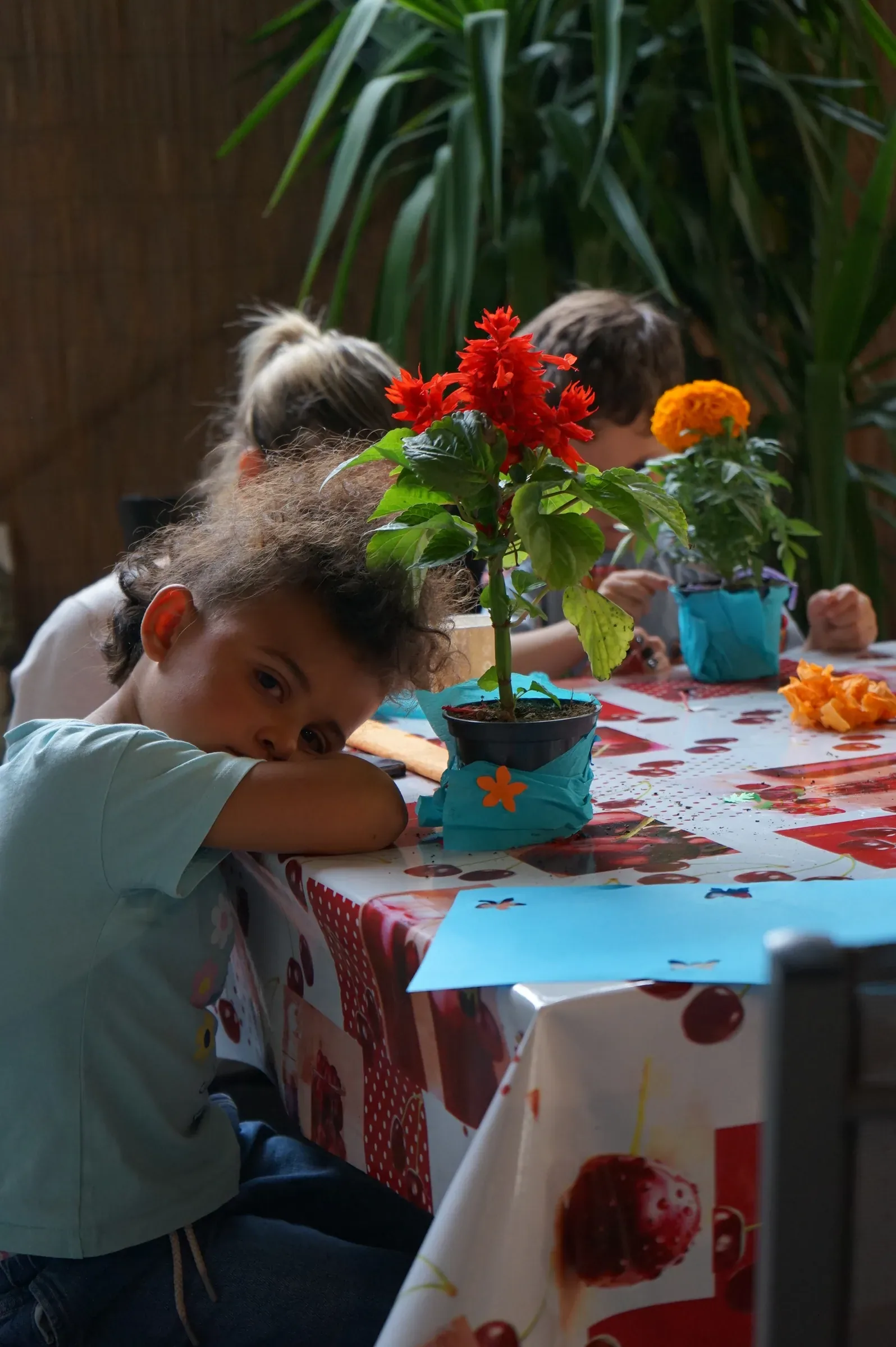 Una bambina appoggia la testa sulle braccia al tavolo con la tovaglia a ciliegie, davanti a una salvia rossa nel vasetto decorato