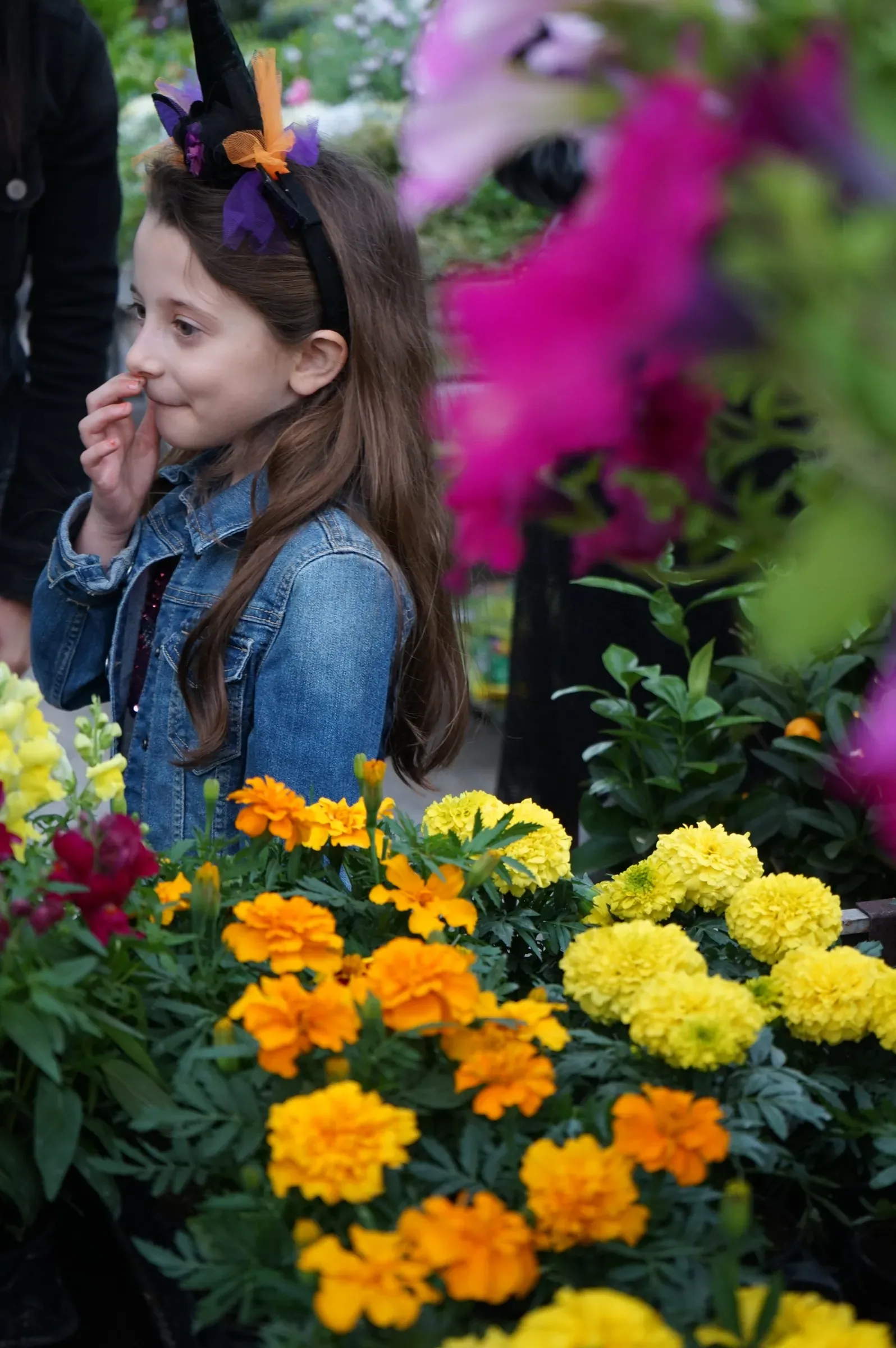 Una bambina con il cerchietto da strega sorride con la mano vicino alla bocca, sopra un banco di tageti gialli e arancioni