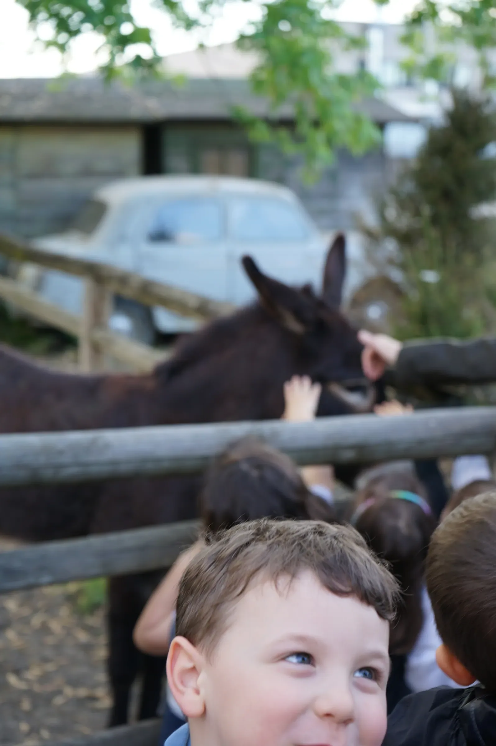 Un bambino sorride in primo piano, mentre dietro di lui altri bambini accarezzano un asino oltre la staccionata