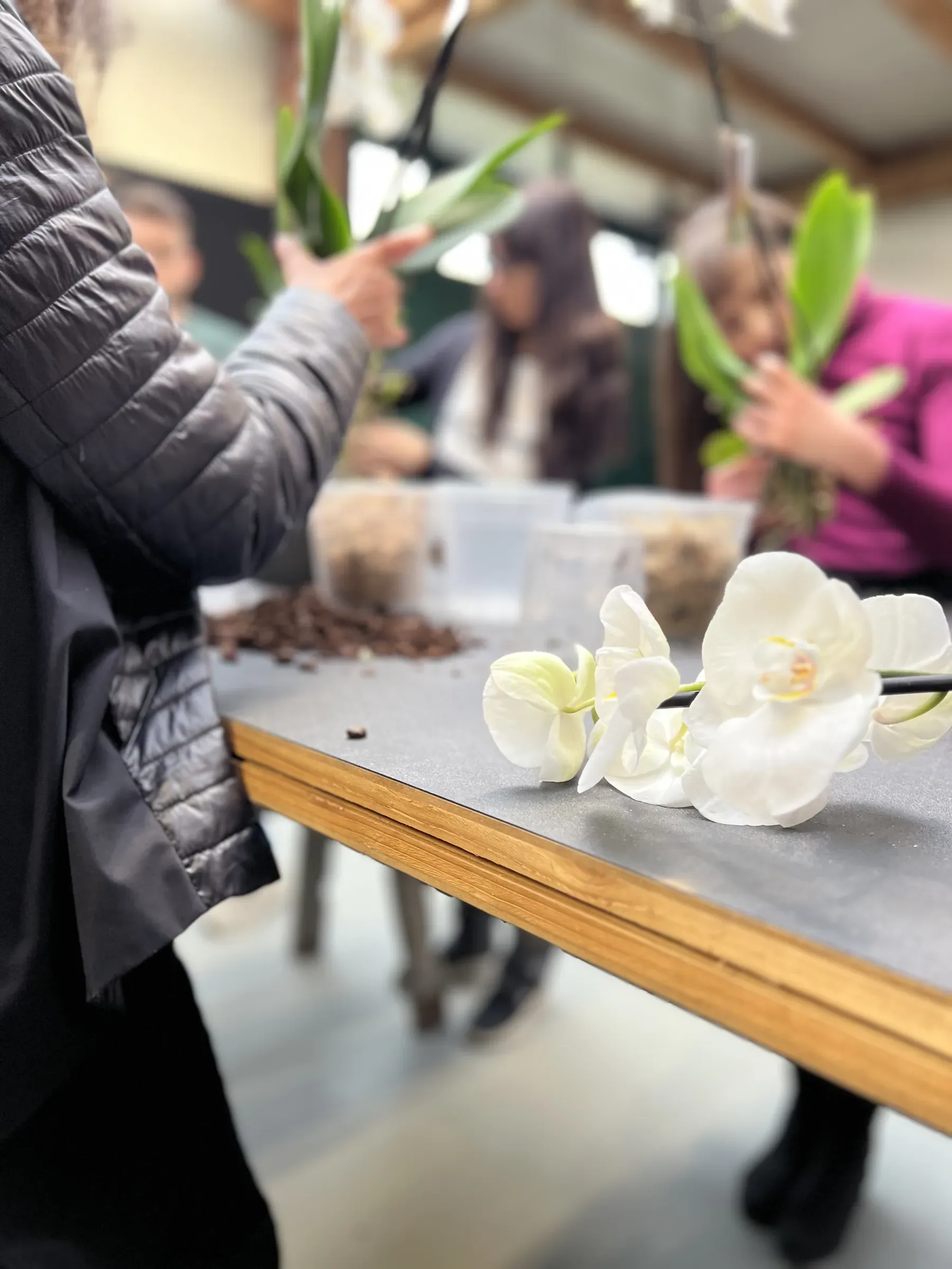 Partecipanti in piedi al tavolo con le orchidee in mano, e i fiori bianchi appoggiati sul bordo