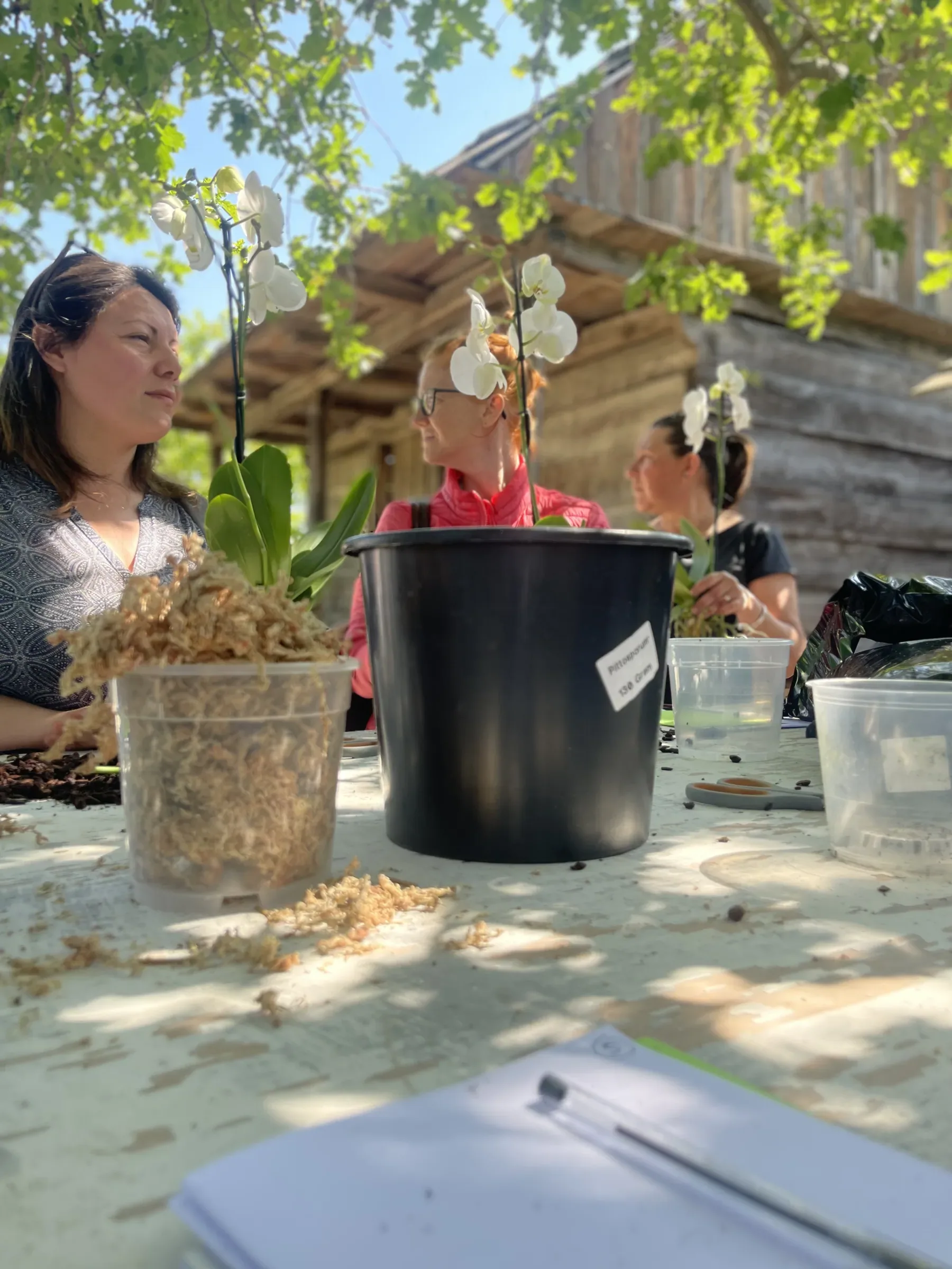 Partecipanti al tavolo all'aperto con le orchidee bianche, un vaso trasparente pieno di sfagno, un vaso nero e un quaderno