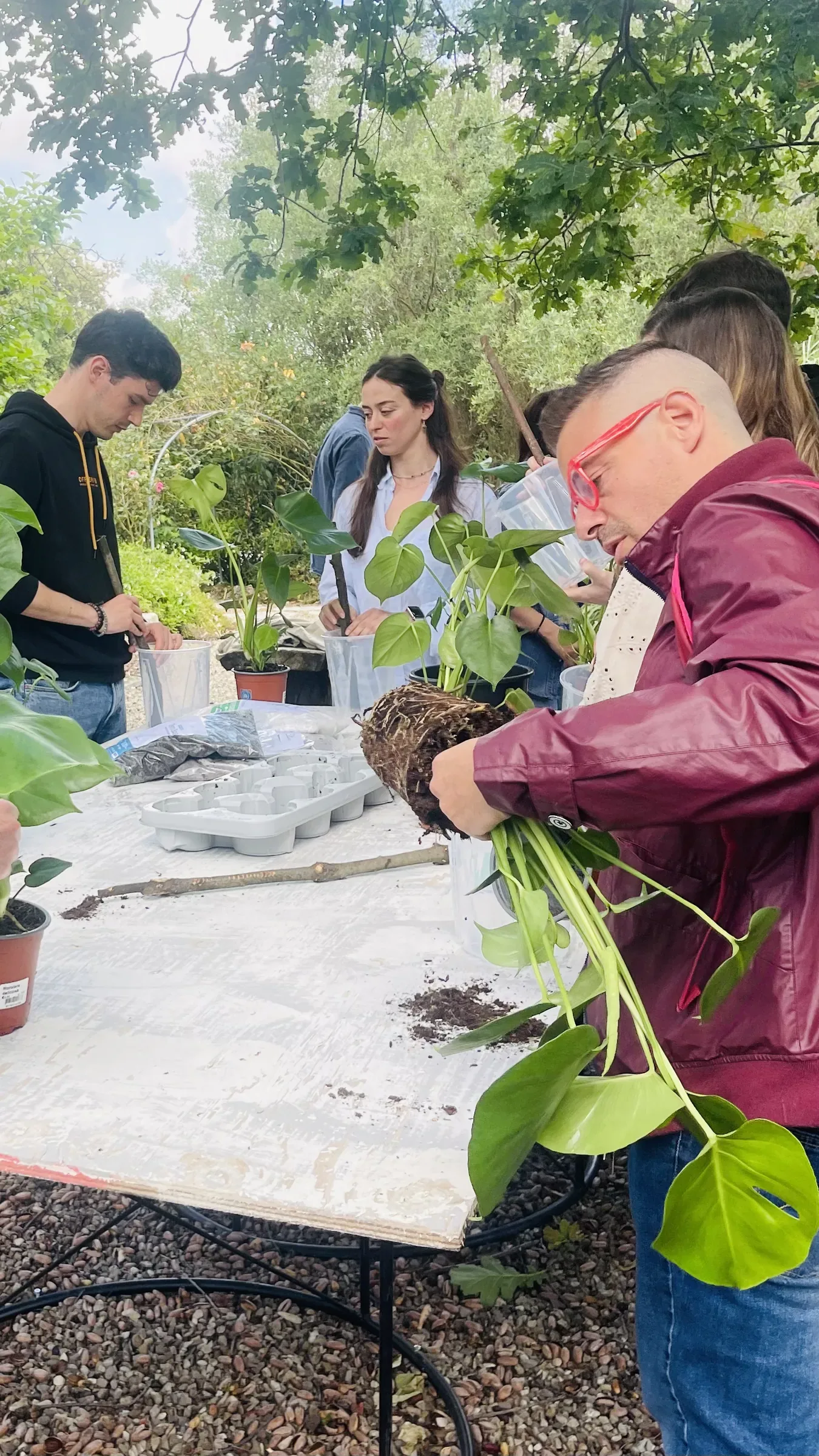 Un partecipante con la giacca rossa tiene una monstera fuori dal vaso, con le radici e la terra, sopra il tavolo