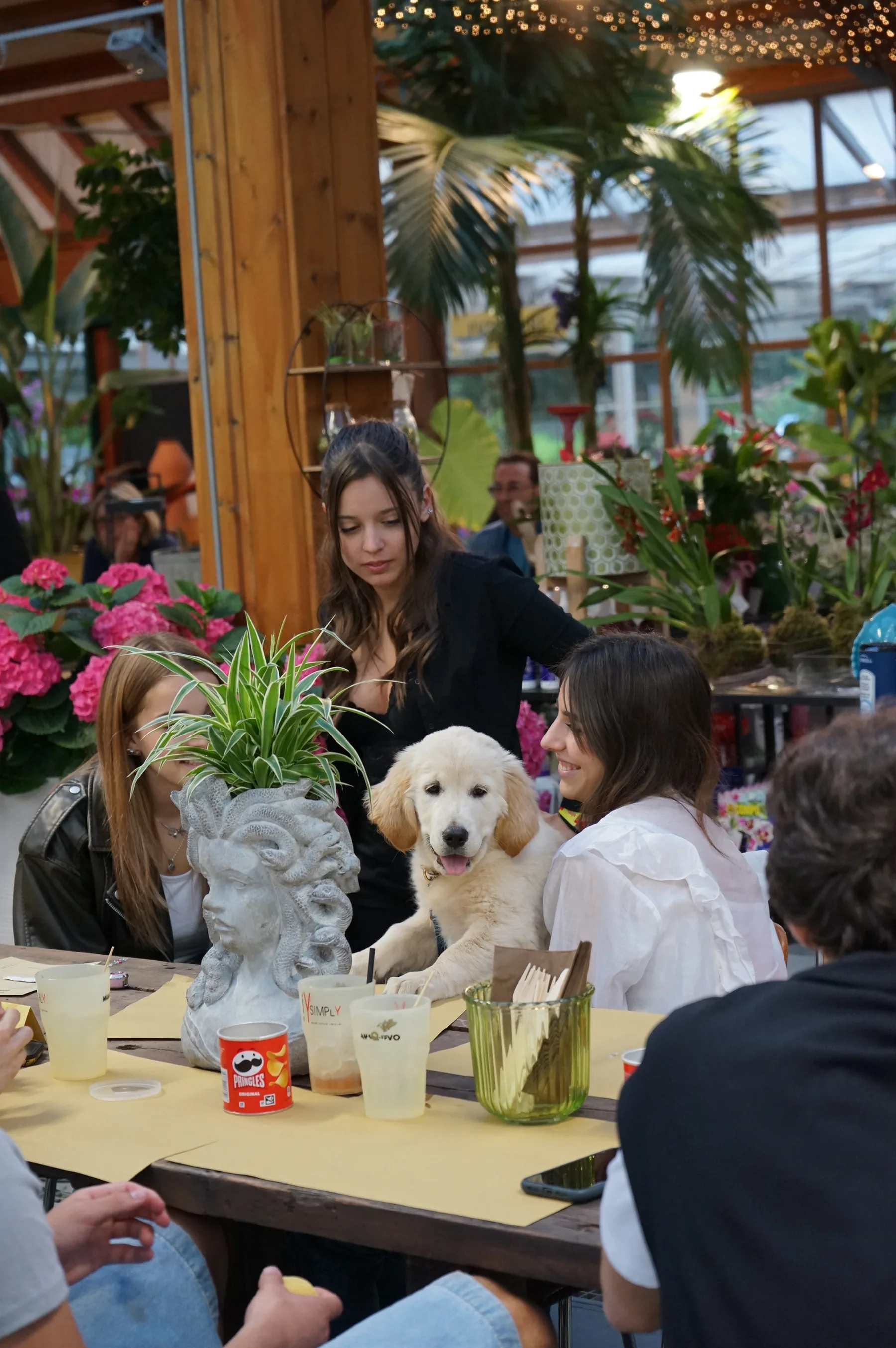 Un cucciolo di golden retriever fra due ragazze sedute al tavolo, accanto a un vaso a forma di testa con una pianta dalle foglie verdi e bianche