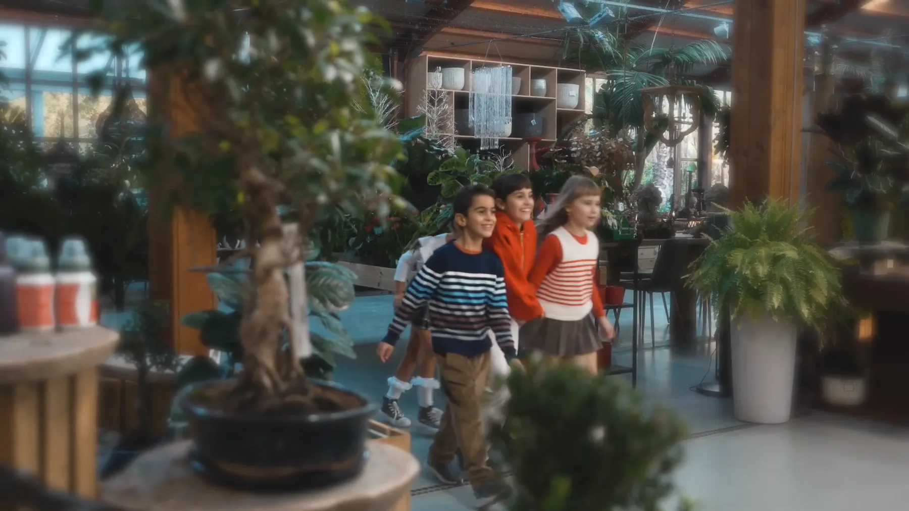 Tre bambini camminano fra le piante della serra, dietro un bonsai in primo piano