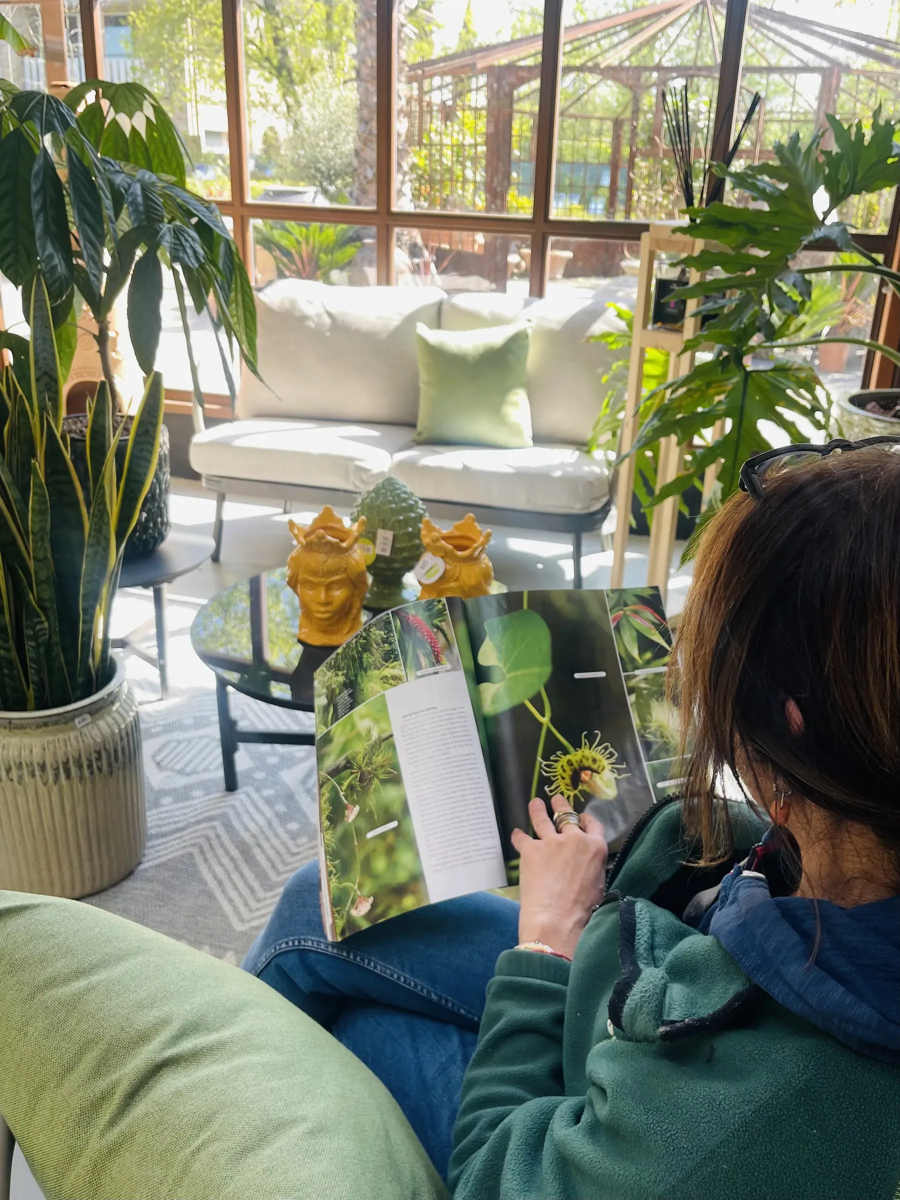 Una donna seduta sfoglia un libro illustrato di piante, davanti a un divano chiaro con sansevierie e philodendron in vaso e, oltre le vetrate, un gazebo in ferro