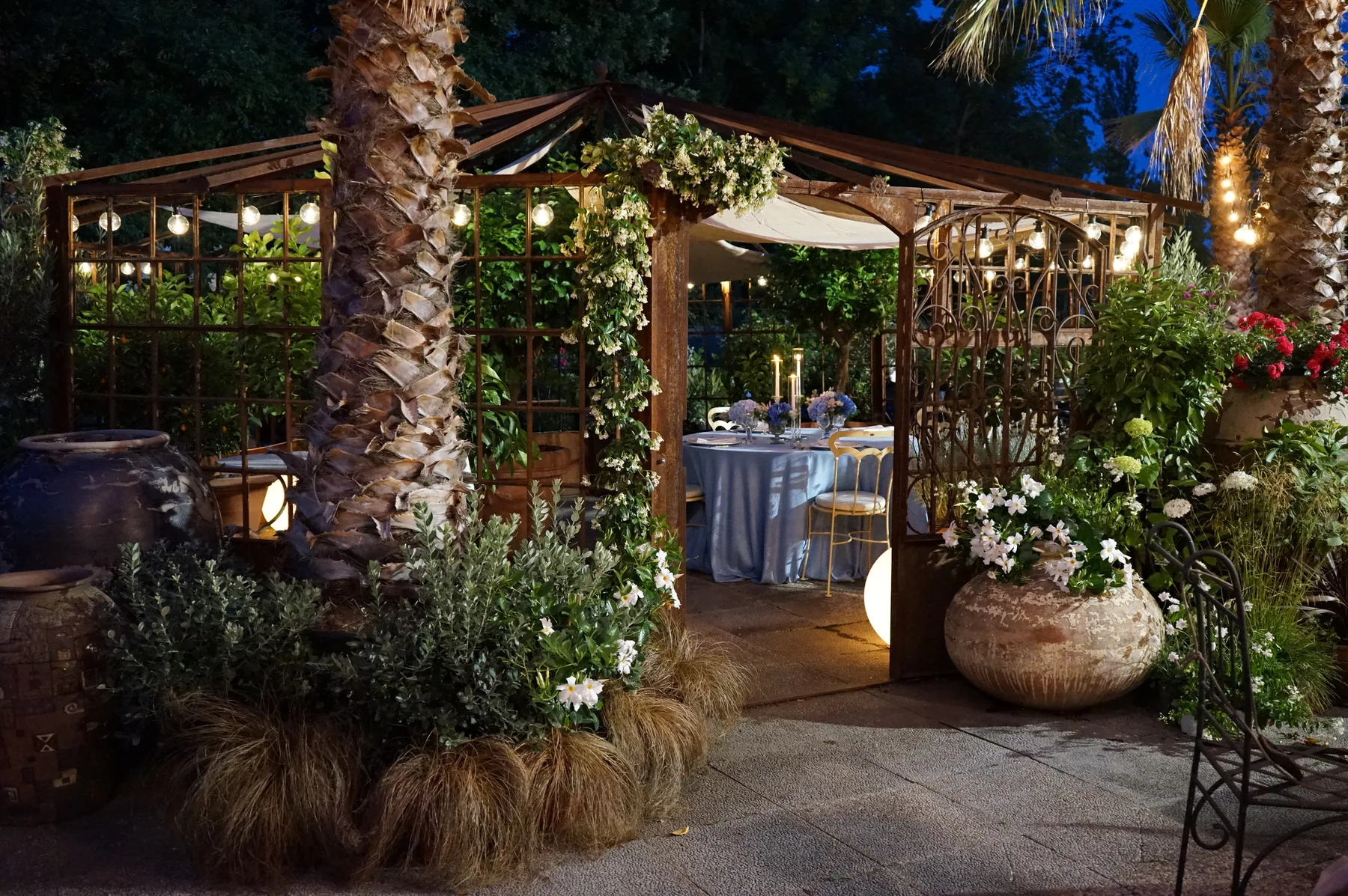 Il giardino di sera: la palma, il pergolato di gelsomino e la tavola azzurra illuminata