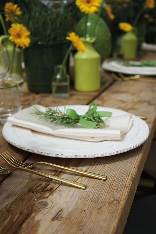 Piatto bianco con un rametto di rosmarino e il nastro verde, vasetti verdi con fiori gialli